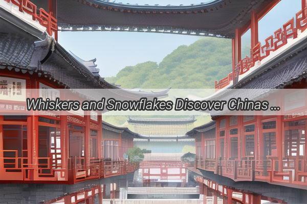 Whiskers and Snowflakes Discover Chinas Universities Where Winter Whispers